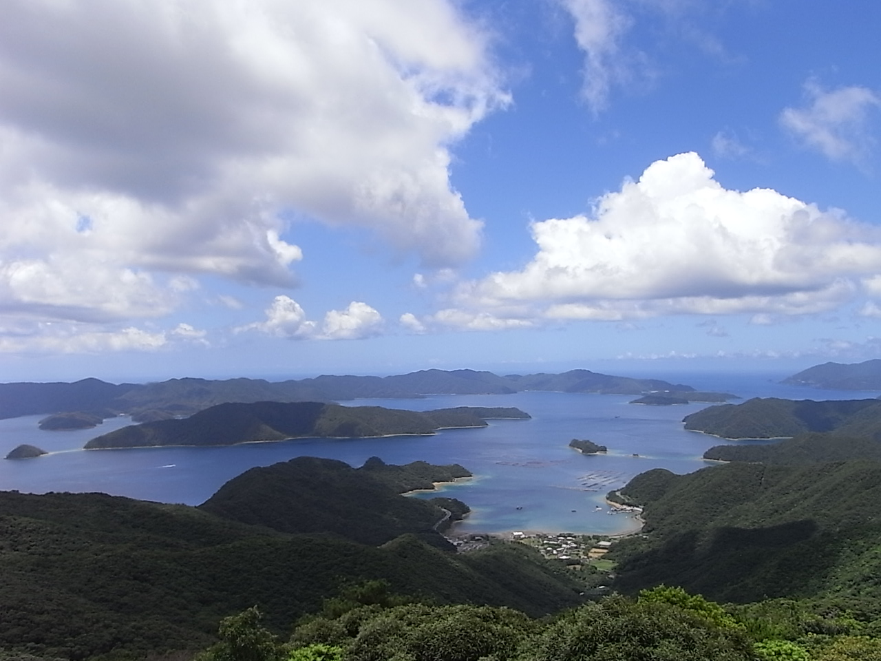 image3